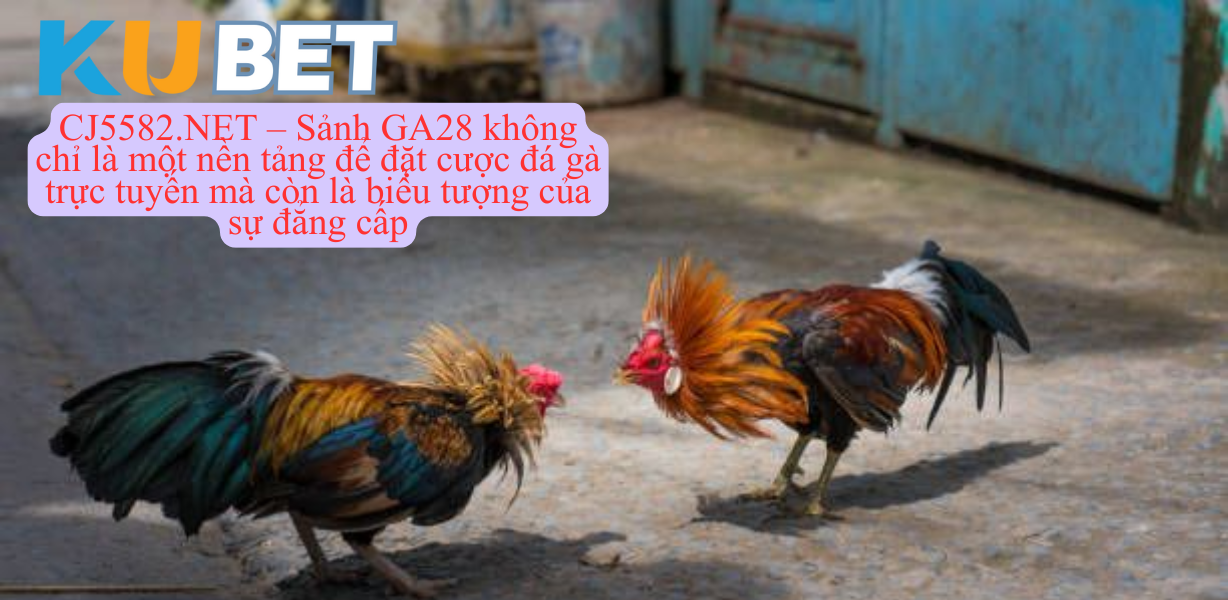 CJ5582.NET – đường link chính thức Kubet để đảm bảo an toàn, minh bạch, tốc độ mượt mà